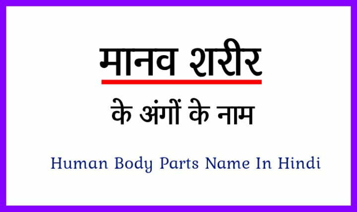 body parts name in hindi